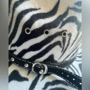 Western Express | Accessories | Western Expressinc Zebra  display picture 1